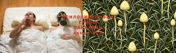 дурь Вязьма