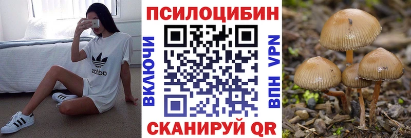 цена наркотик  Заречный  Галлюциногенные грибы Psilocybine cubensis 