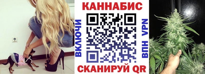 Бошки Шишки план  Заречный 